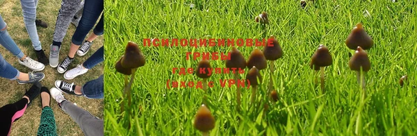 шишки Абдулино