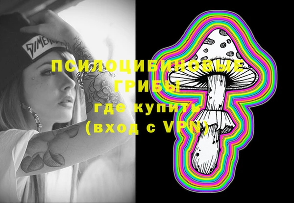 крисы Алексеевка