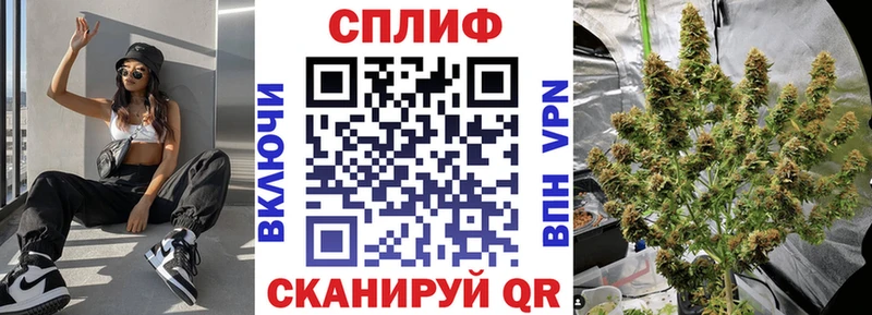где можно купить   Орск  Канабис SATIVA & INDICA 